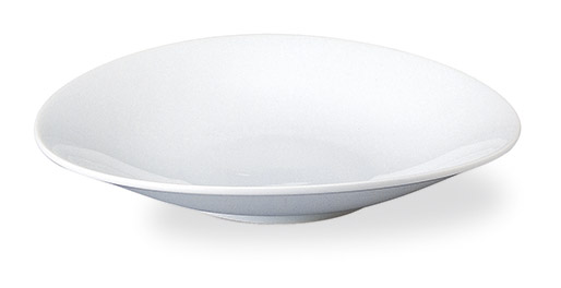 �Ɩ��p ���K�[�g 27cm�v���[�g