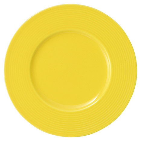 �Ɩ��p ���x�� 24cm�~�[�g�iLemon�j