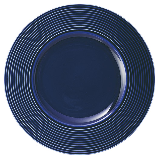 �Ɩ��p ���x�� 24cm�~�[�g�iAoi�j