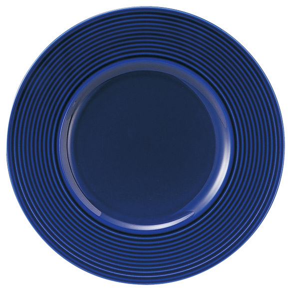 �Ɩ��p ���x�� 27cm�f�B�i�[�iAoi�j