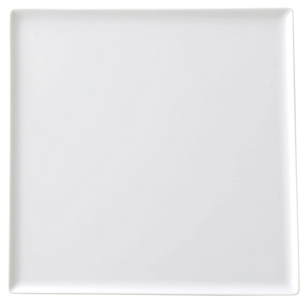 �Ɩ��p �����W�� 25cm�X�N�G�A�v���[�g