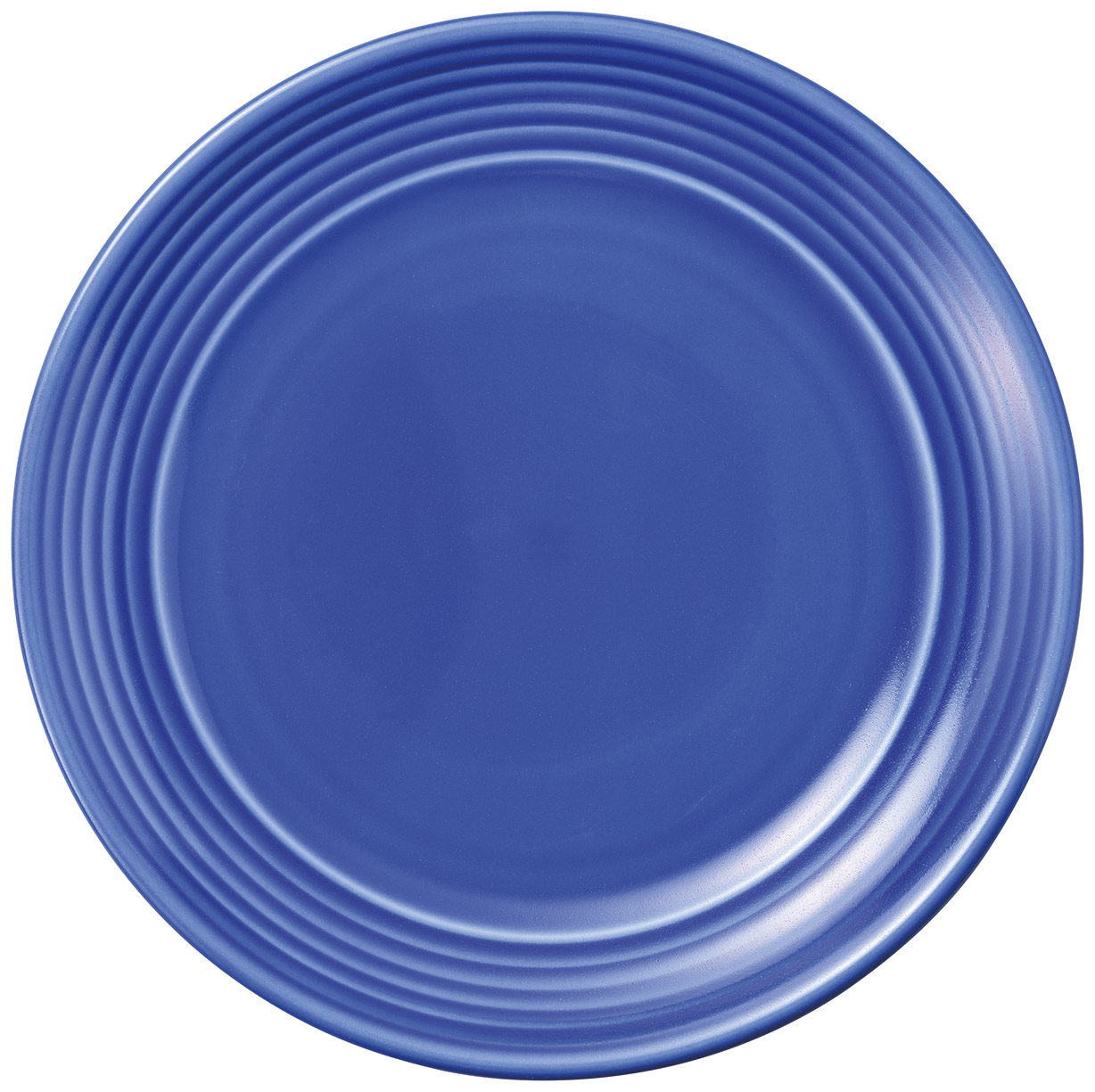 �Ɩ��p ���e�B 28cm�f�B�i�[�i�u���[�j