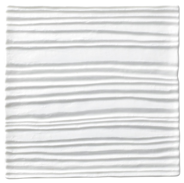 �Ɩ��p �a �� 26cm�X�N�G�A�v���[�g