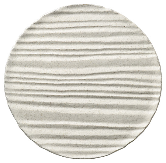 �Ɩ��p �a �� 25cm�T�[�N���v���[�g�i���߁j