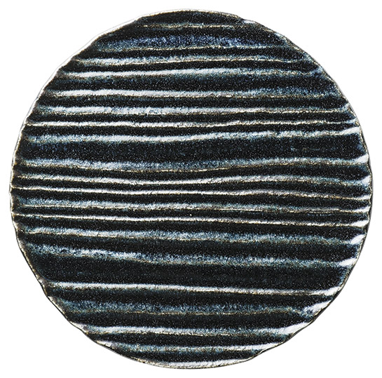 �Ɩ��p �a �� 25cm�T�[�N���v���[�g�i�����j