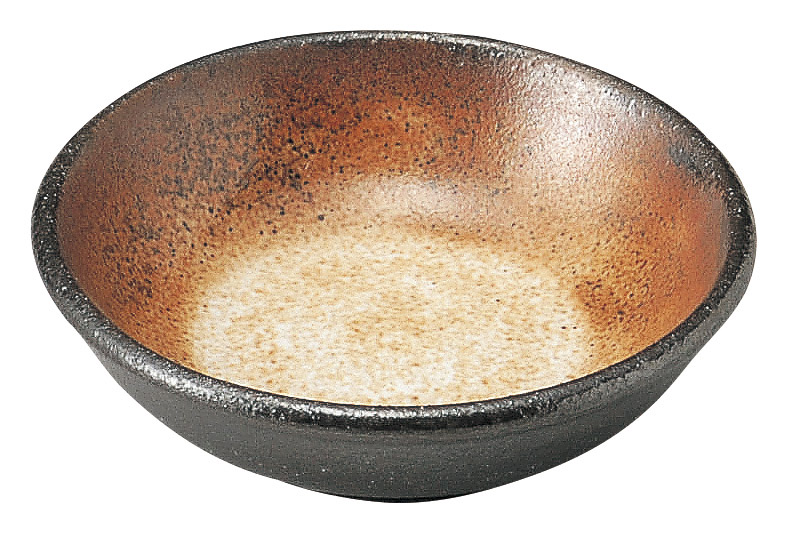 �u�쉻�� 2.6�򖡎M