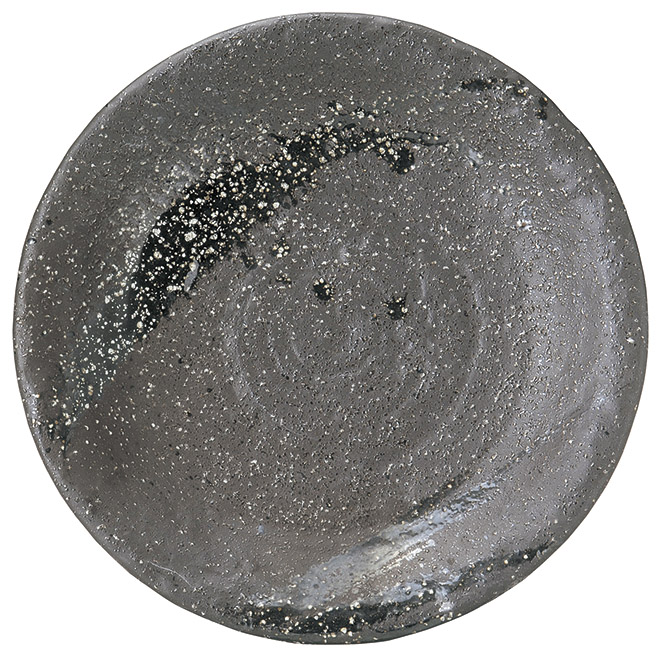 彗星 石目7.0皿