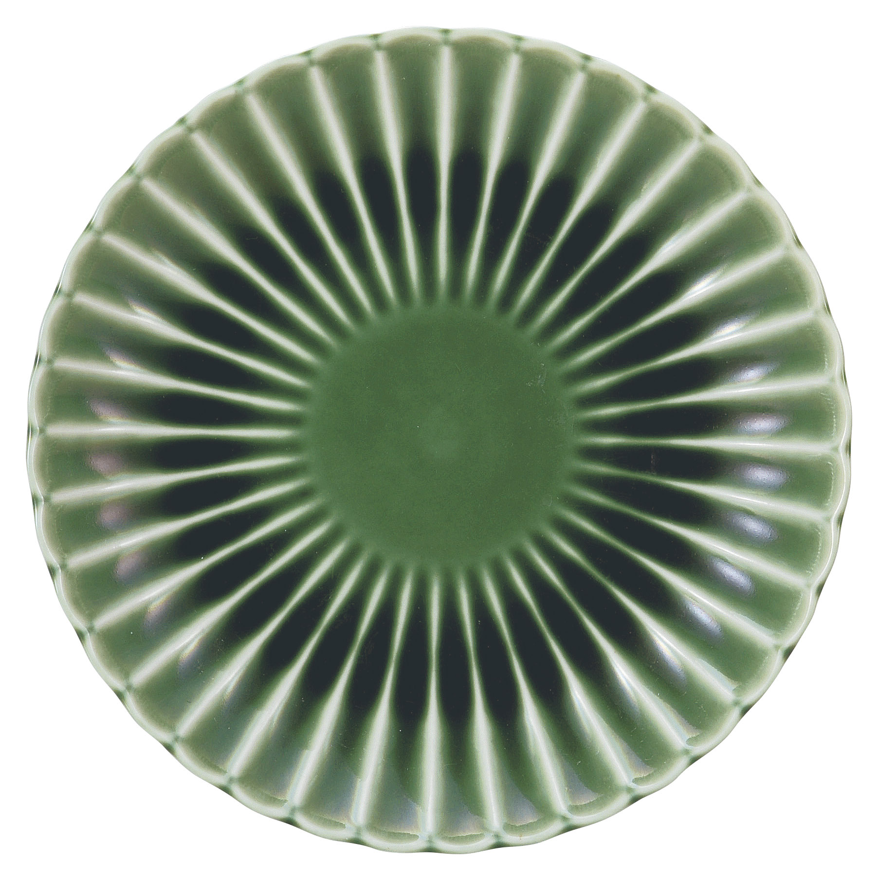 �Ɩ��p ������ �� 16.5�����ێM