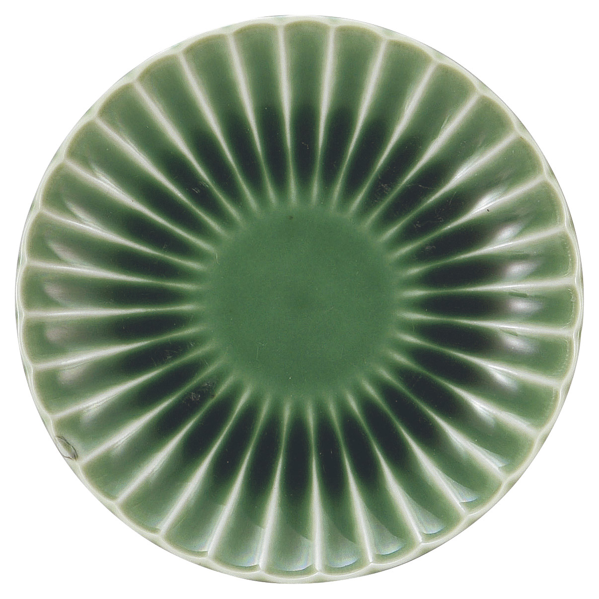 �Ɩ��p ������ �� 12.5�����ێM