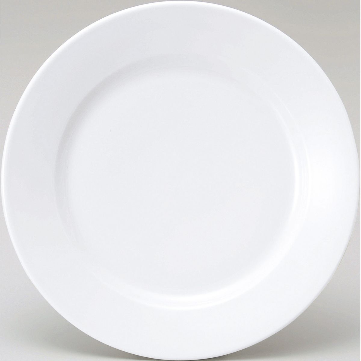 BASIC �z���C�g ������24cm�M