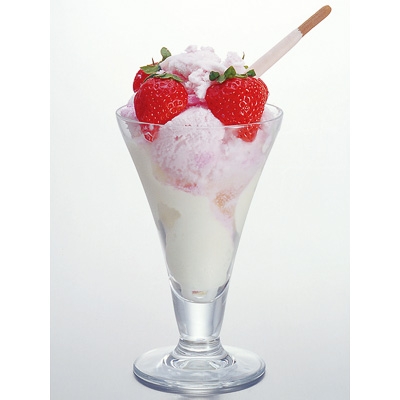 �h���b�V�[�p�t�F�k�i���������j