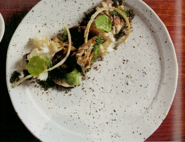 �_�����V�A��24cm�����ێM