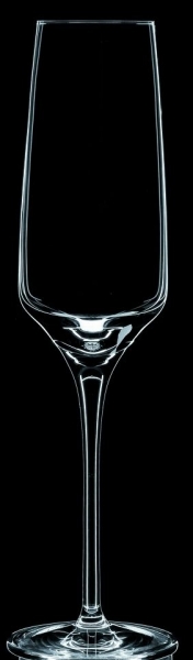 Stolzle�G�N�X�y���G���X07�t���[�g