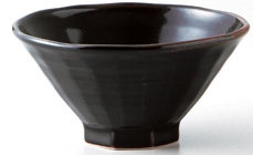 �M�q���V�ڔ��p4.8�јq