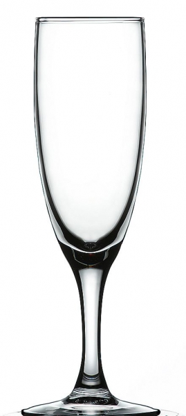 ARC �G���K���X100�t���[�g