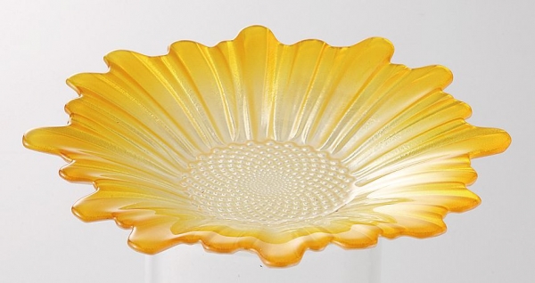 ARDA�f�C�W�[�v���[�g �C�G���[