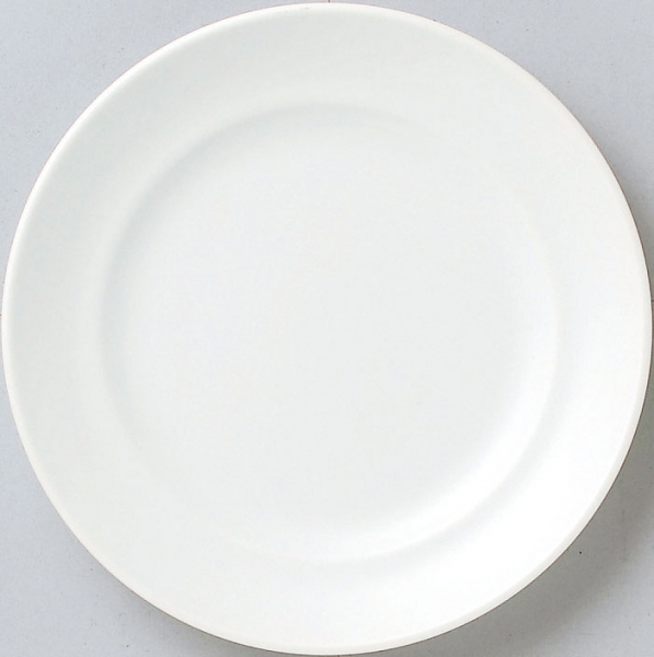 �X�p�c�B�I�z���C�g19cm�M