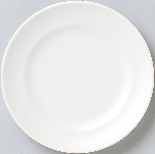 �X�p�c�B�I�z���C�g17cm�M