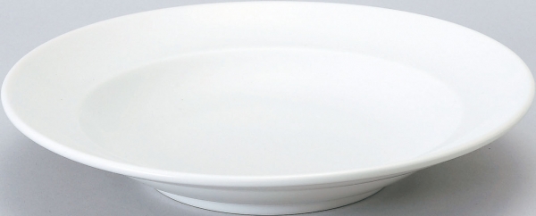 �X�p�c�B�I�z���C�g24cm�[�M