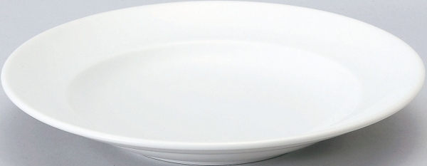 �X�p�c�B�I�z���C�g22cm�[�M