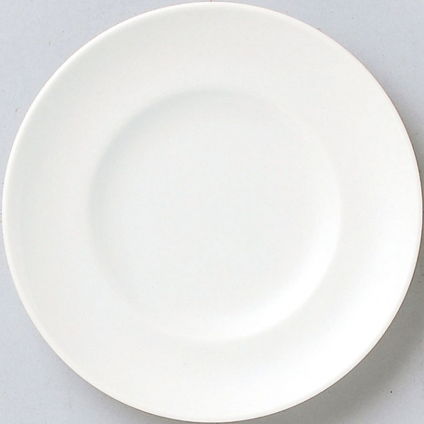 �X�p�c�B�I�z���C�g���C�h17cm�M