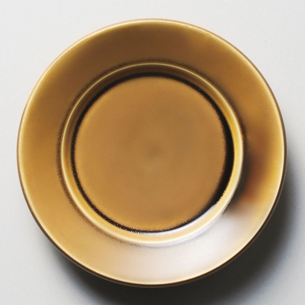 �X�p�_21cm�v���[�g �R�[�p��