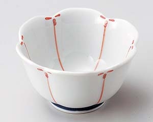 �Ԕ~������(��)