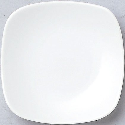 �X�N�G�A�z���C�g22cm�M