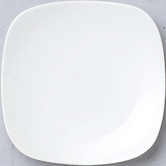 �X�N�G�A�z���C�g19cm�M