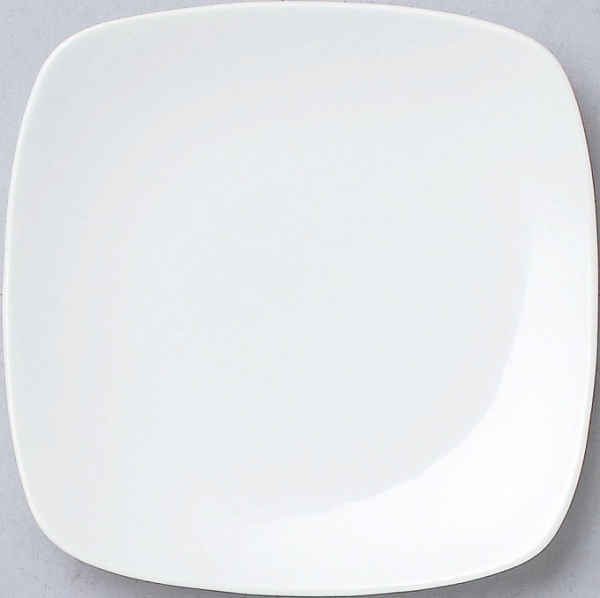 �X�N�G�A�z���C�g15cm�M