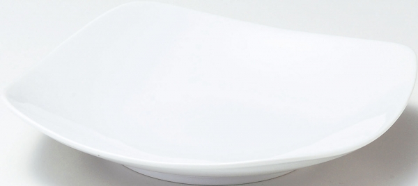 �X�N�G�A�z���C�g22cm�[�M