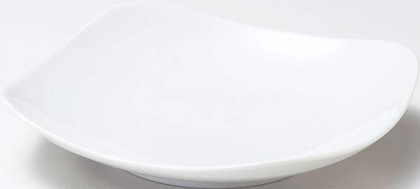 �X�N�G�A�z���C�g20cm�[�M