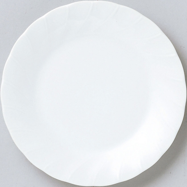 ��ԁj�z���C�g�V�F��23cm�M