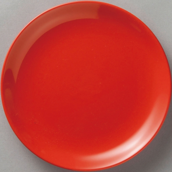 �g���؃��^��19cm�M��