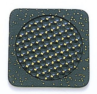 �S���R�[�X�^�[�����V�[��20�p���i10�����j