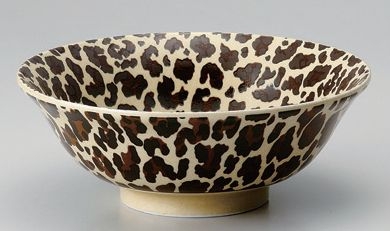 �q���E��6.5���[������