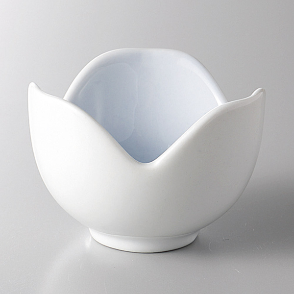 �R�o���g�����R������(��)