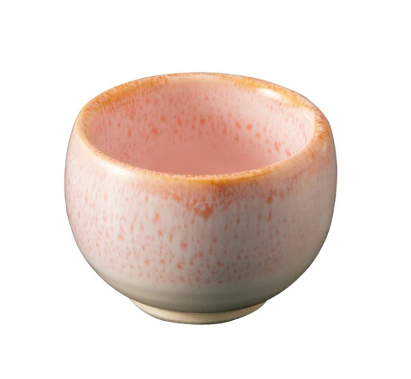 ��F�����ی^������