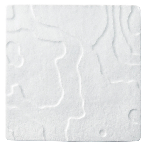 �Ζ�20cm���p�M