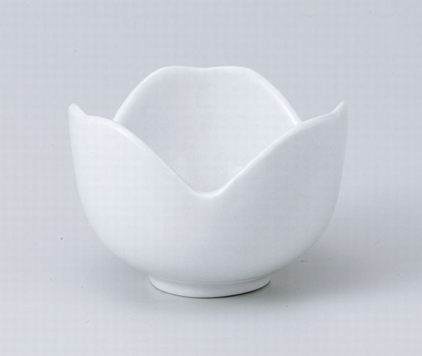 J�A�N�A�{�[����