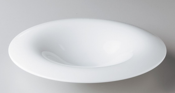 �N�I�[��24cm�p�X�^