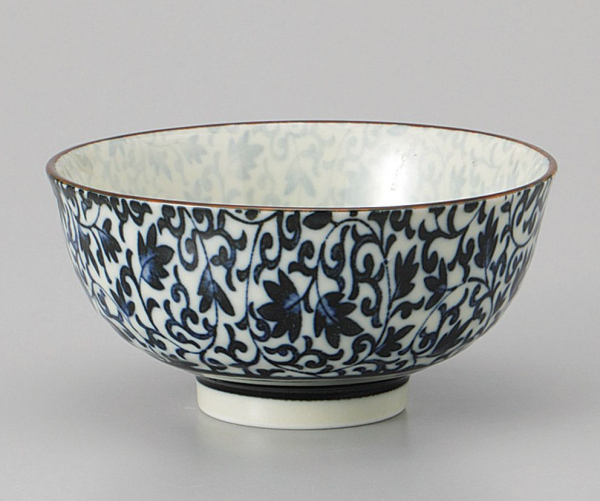 �v�q�����ۘq(��)