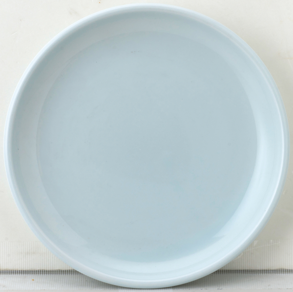 �V����19cm�M