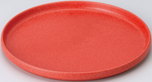 Toledo(�g���h)24.5cm�ؗ��v���[�g�O��