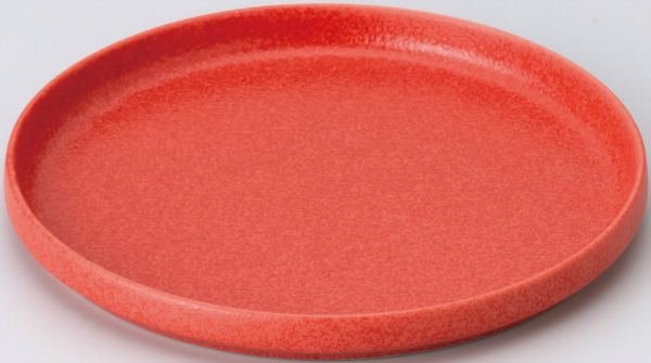 Toledo(�g���h)19.5cm�ؗ��v���[�g�O��