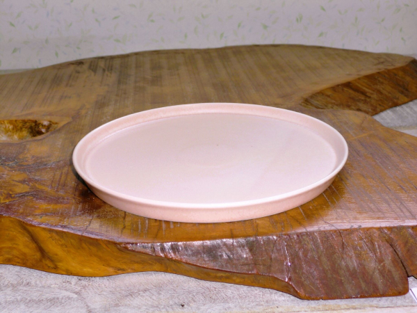 ������20cm�v���[�g�i���M�j