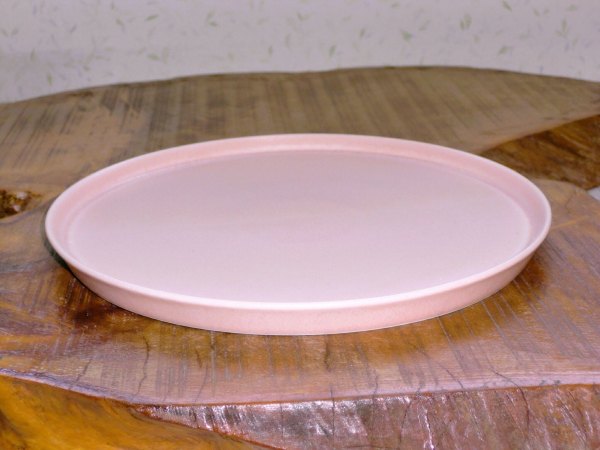 ������23cm�v���[�g�i���M�j