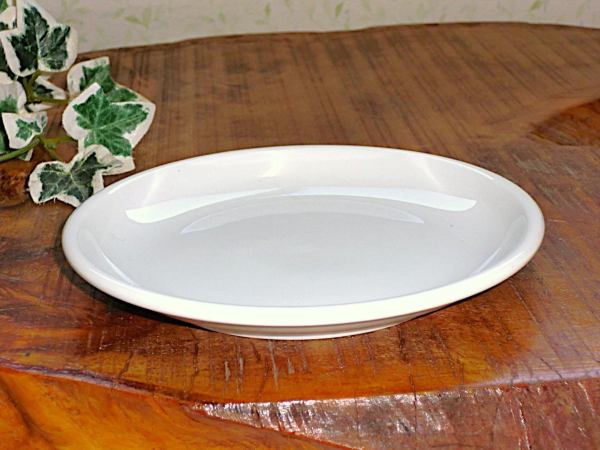 �yB���i�݌ɏ������i�z���[���V�A17cm�v���[�g�i��M�j