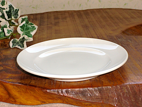 �yB���i�݌ɏ������i�z�z���C�g�ʟ������^17cm�v���[�g�i��M�j