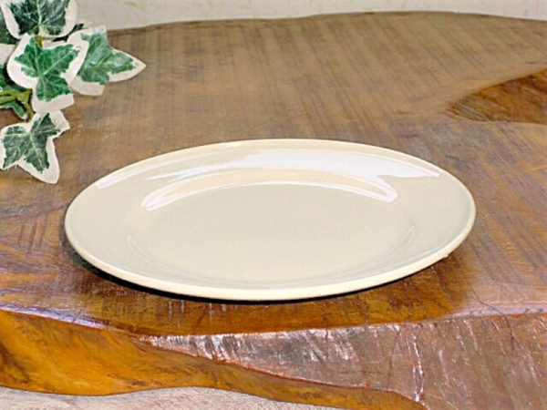 �y�݌ɏ����i�z�X�g�[���z�e���^16.5cm�����p���M�i���M�j